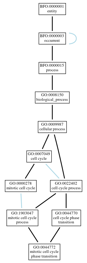 Graph of GO:0044772