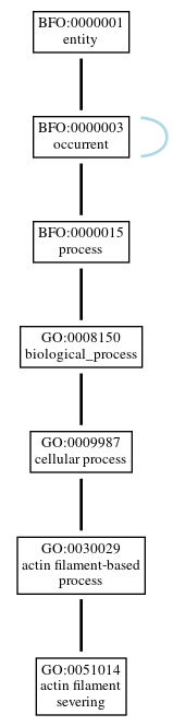 Graph of GO:0051014