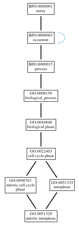 Graph of GO:0051329
