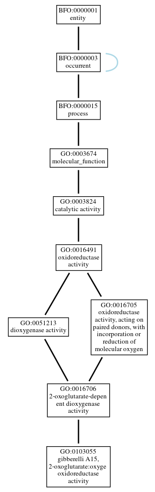 Graph of GO:0103055