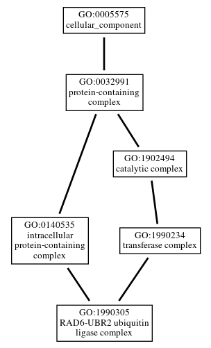 Graph of GO:1990305