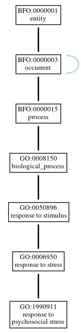 Graph of GO:1990911