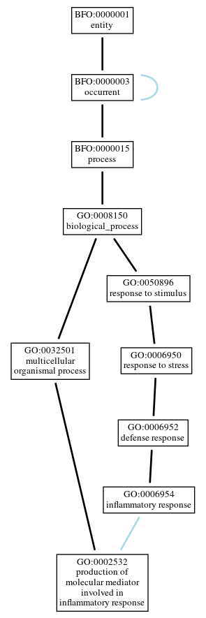 Graph of GO:0002532