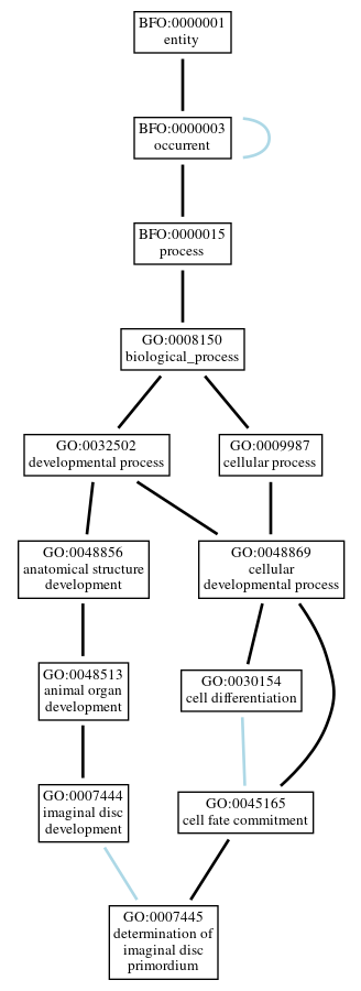 Graph of GO:0007445