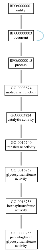 Graph of GO:0008955