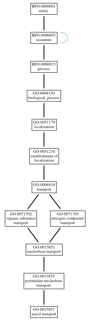 Graph of GO:0015857