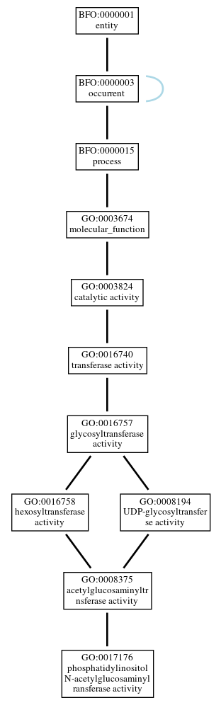 Graph of GO:0017176