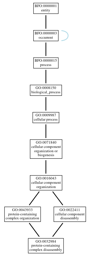 Graph of GO:0032984