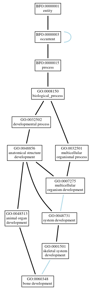 Graph of GO:0060348