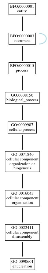 Graph of GO:0090601