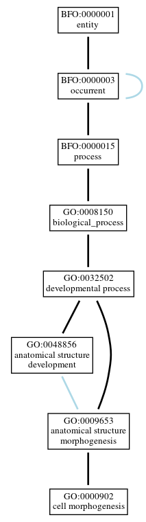 Graph of GO:0000902