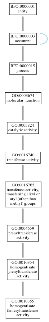 Graph of GO:0010355
