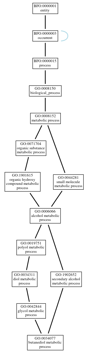 Graph of GO:0034077