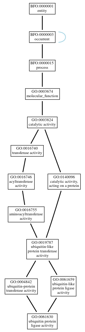 Graph of GO:0061630