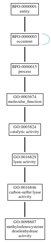 Graph of GO:0098607