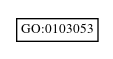 Graph of GO:0103053