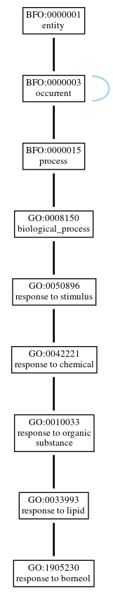 Graph of GO:1905230
