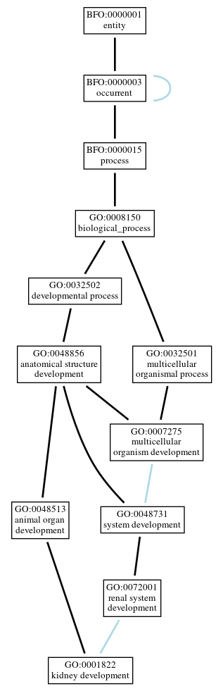 Graph of GO:0001822