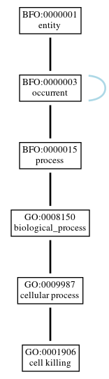 Graph of GO:0001906