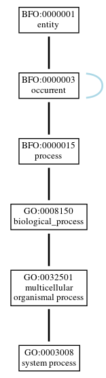 Graph of GO:0003008