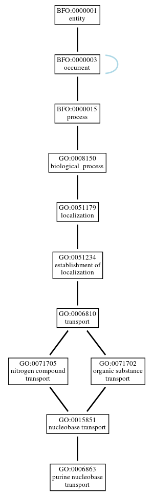 Graph of GO:0006863