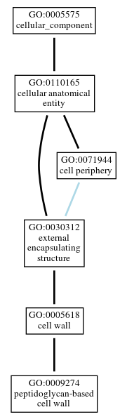 Graph of GO:0009274