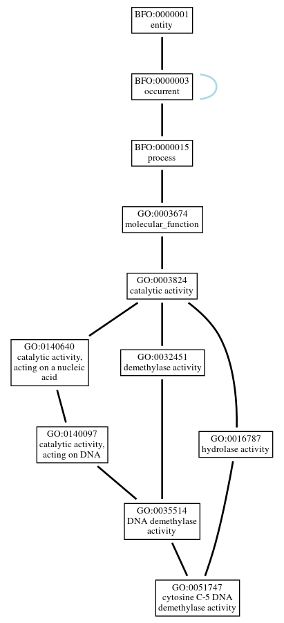 Graph of GO:0051747