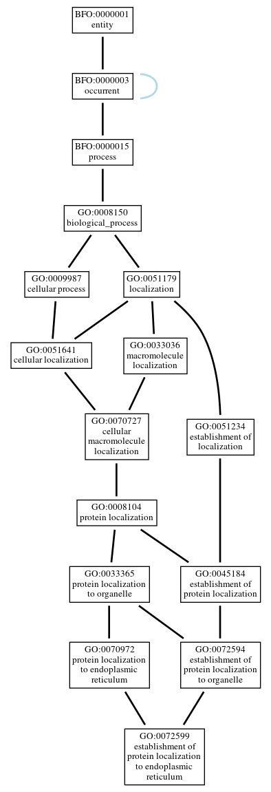 Graph of GO:0072599