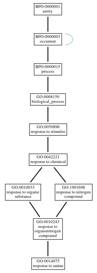 Graph of GO:0014075