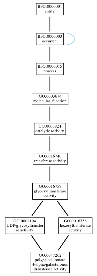 Graph of GO:0047262