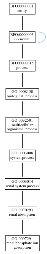 Graph of GO:0097291