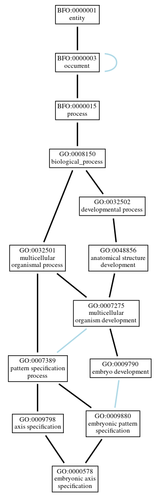 Graph of GO:0000578
