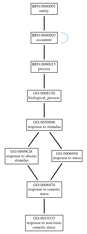 Graph of GO:0010335