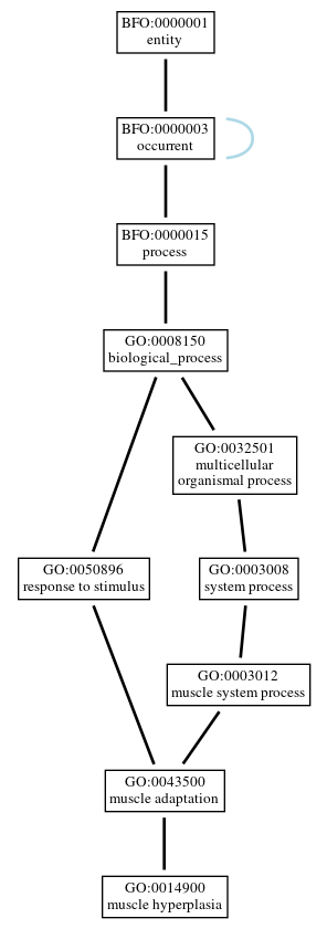 Graph of GO:0014900