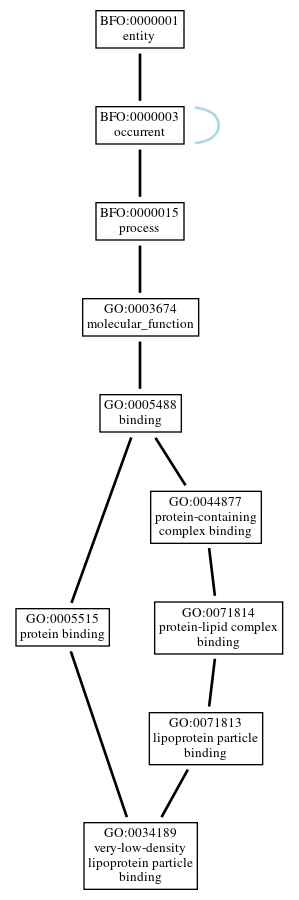 Graph of GO:0034189