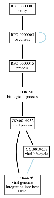 Graph of GO:0044826