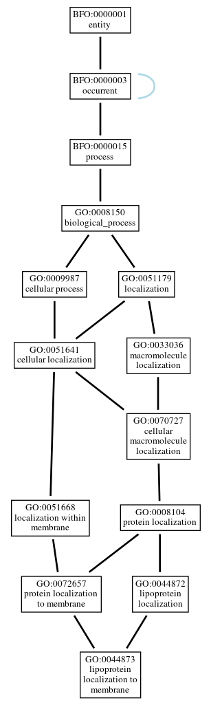 Graph of GO:0044873