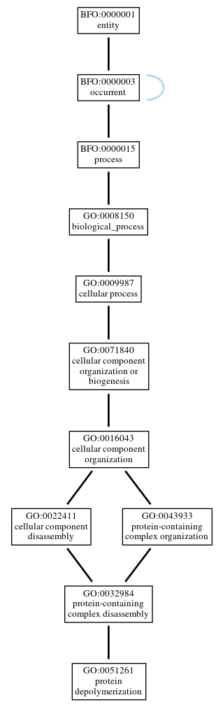 Graph of GO:0051261