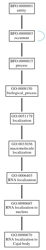 Graph of GO:0090670