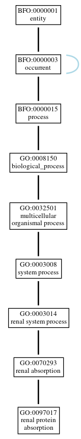 Graph of GO:0097017