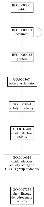 Graph of GO:0097256