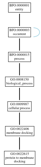 Graph of GO:0022615