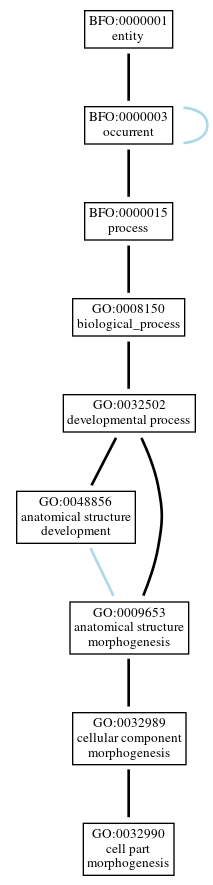 Graph of GO:0032990