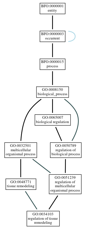 Graph of GO:0034103