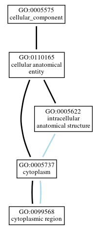 Graph of GO:0099568