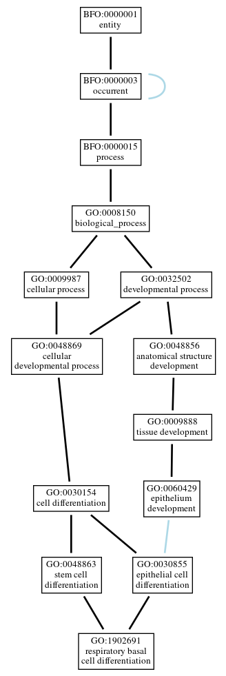 Graph of GO:1902691