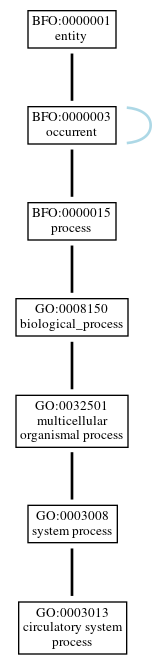 Graph of GO:0003013
