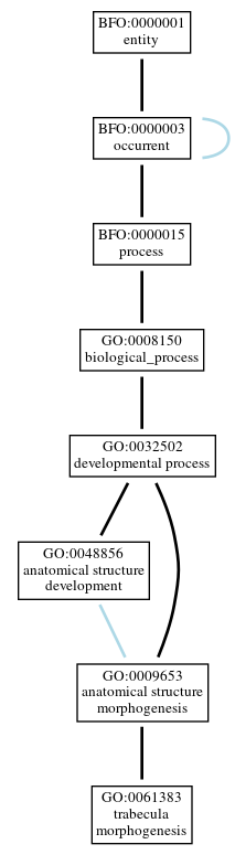 Graph of GO:0061383