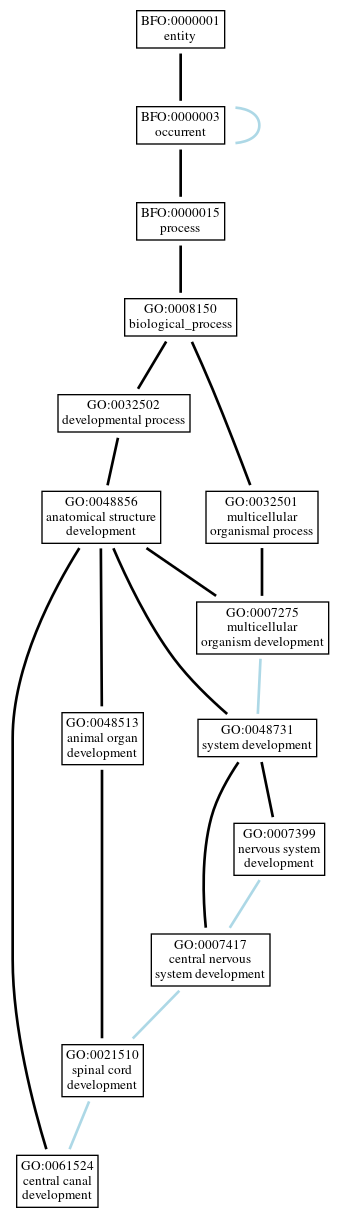 Graph of GO:0061524