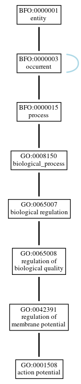Graph of GO:0001508